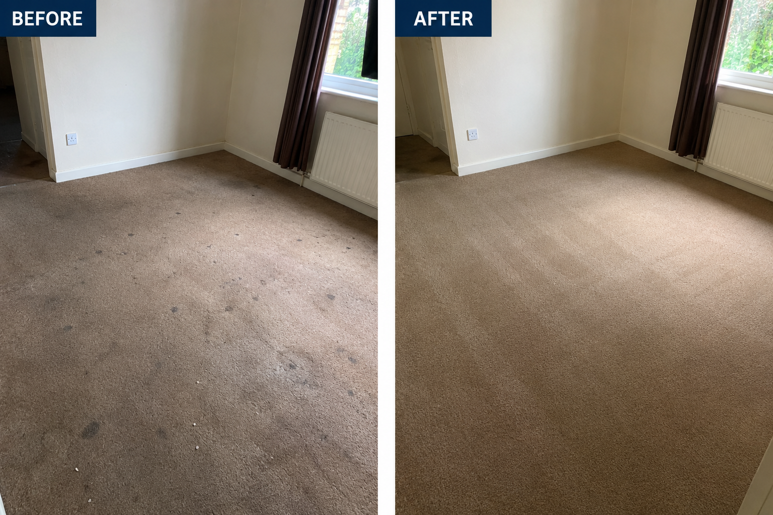 Before carpet cleaning result showing a carpet needing attention