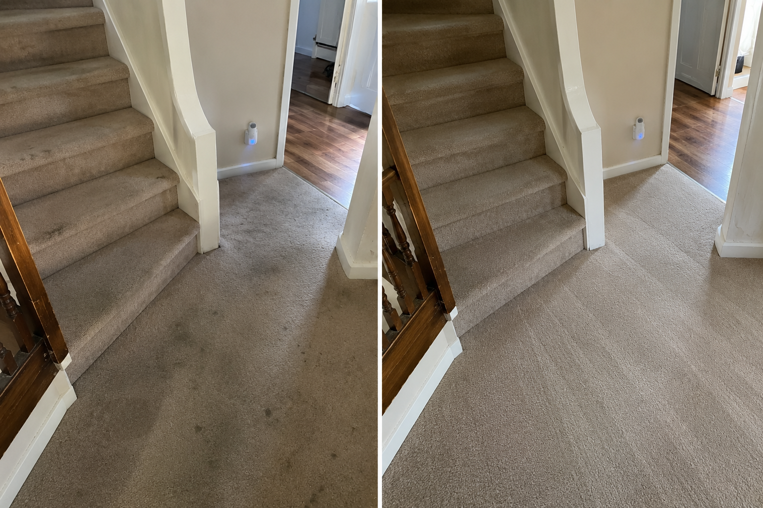 After carpet cleaning result showing a fresher cleaner carpet finish